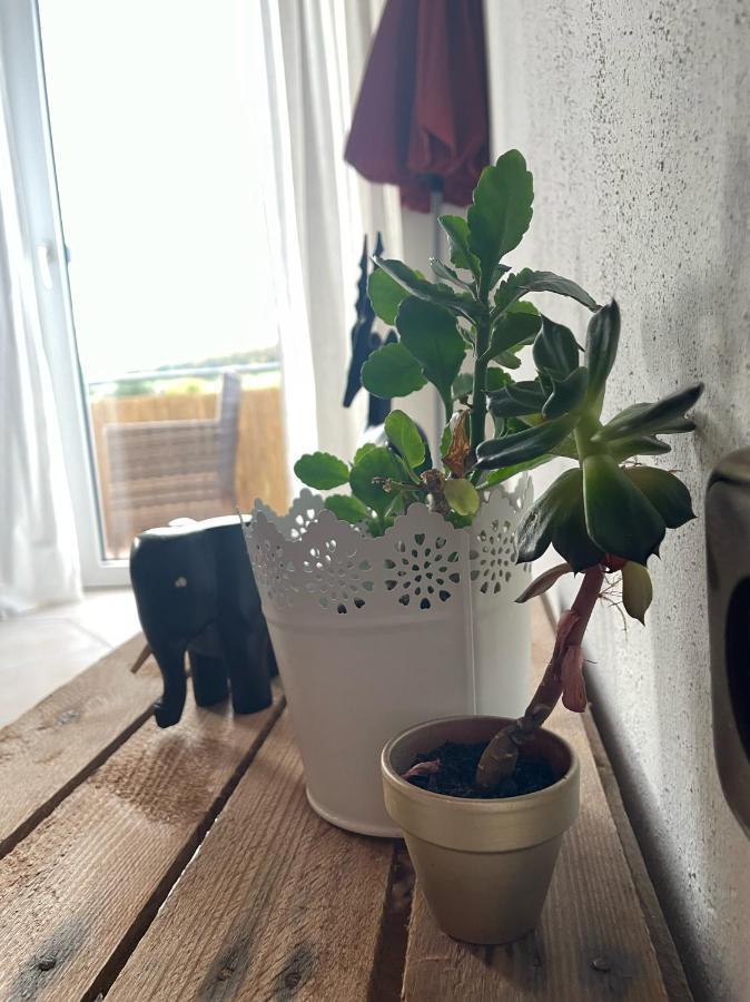 Schoene Wohnung In Ruhiger Laendlicher Lage Heidenheim  Exteriér fotografie